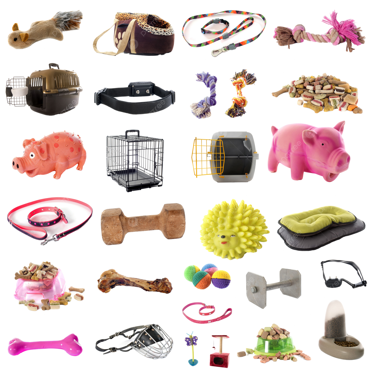 Pet Accessories